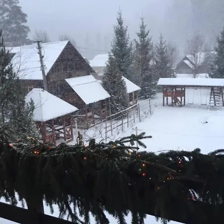 Beregynia * جدينييفو