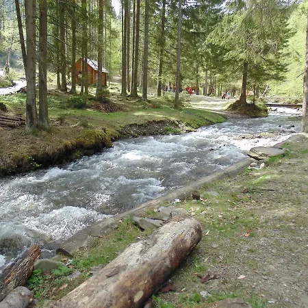 Beregynia * جدينييفو